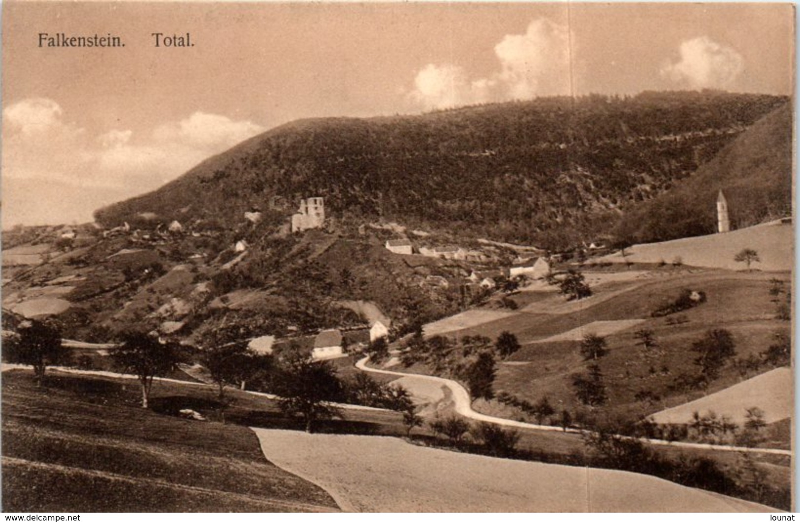 Allemagne - Falkenstein. Total. Année 1918 - Falkenstein (Vogtland)