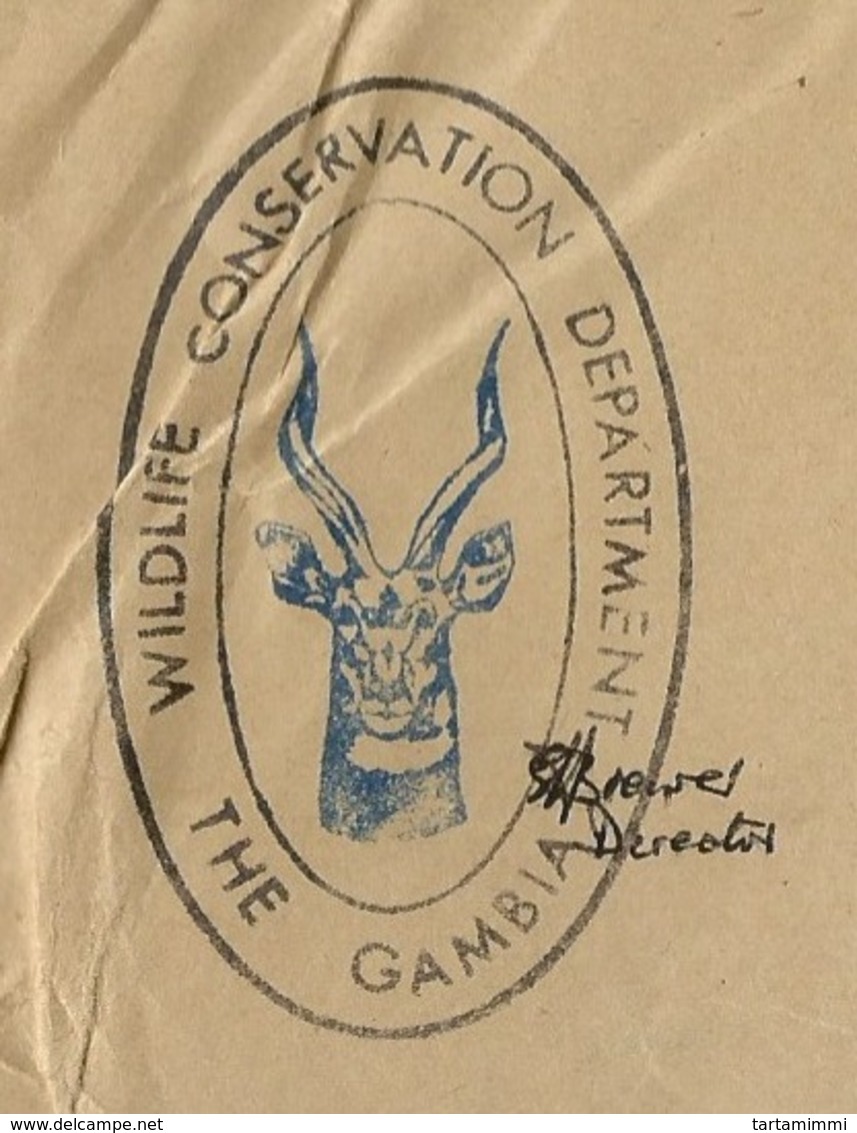 COVER POSTAGE PAID WILDLIFE CONSERVATION DEPARTMENT OF GAMBIA - ANTILOPE VERY NICE AND UNUSUAL COVER - KUDU ANTILOPE - Environment & Climate Protection