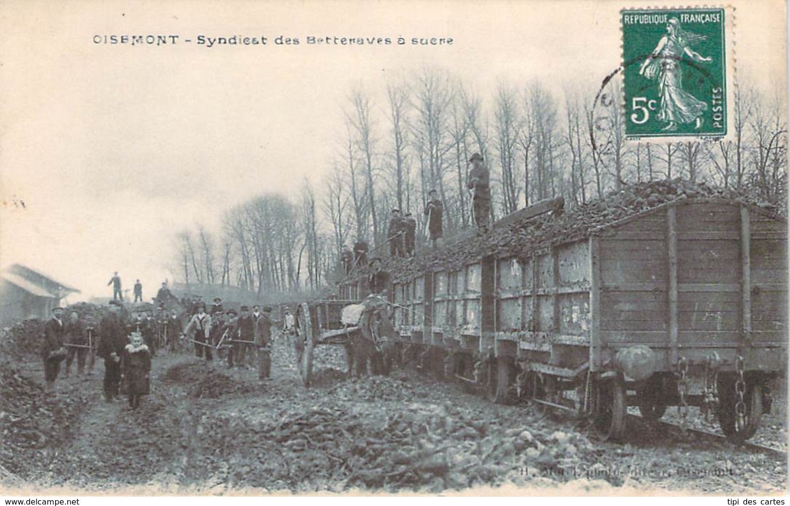 80 - Oisemont - Syndicat Des Betteraves à Sucre (chargement Train De Marchandises) - Oisemont