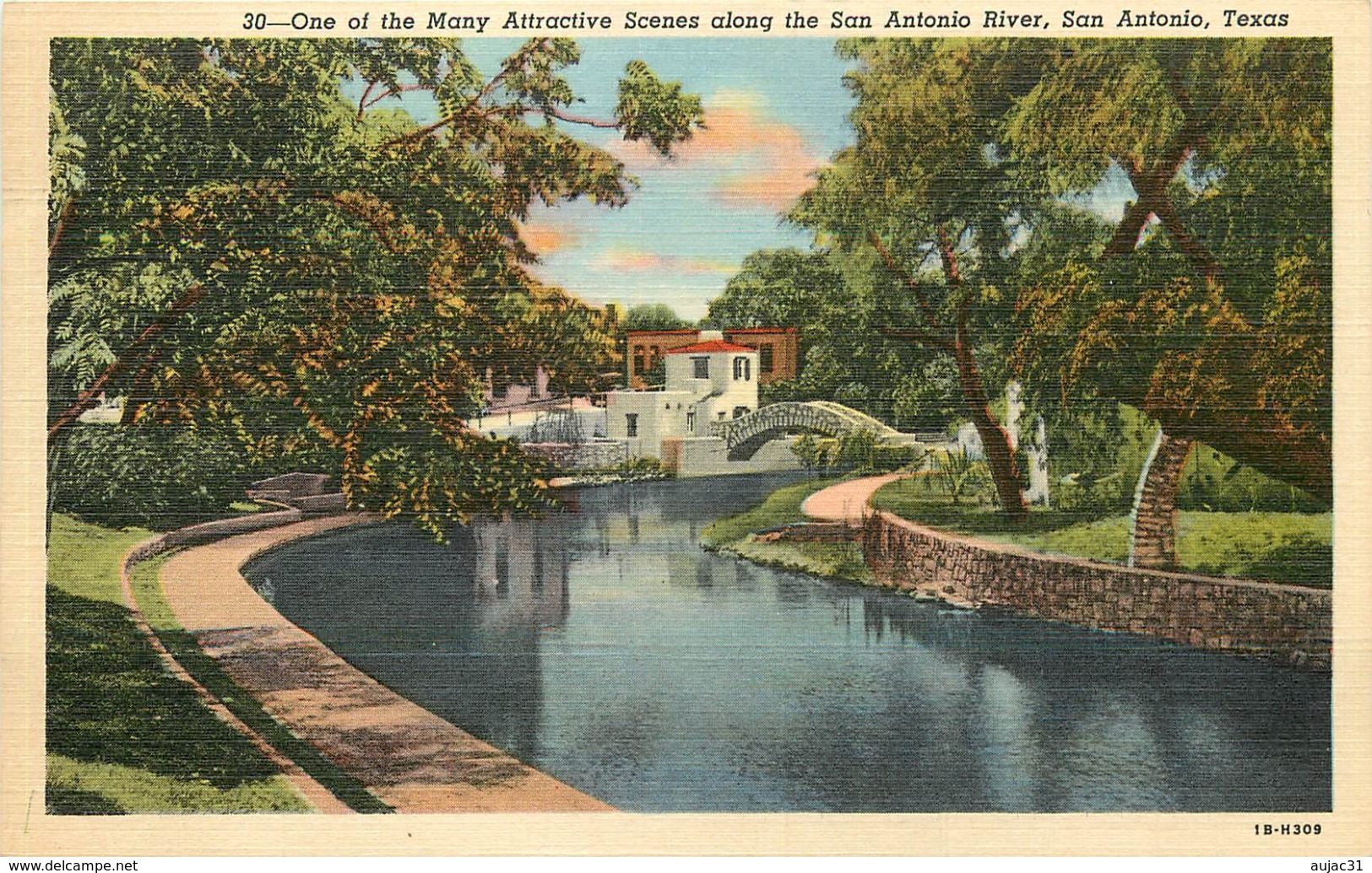 Etats-Unis - Texas - One Of The Many Attractive Scenes Along The San Antonio River - état - San Antonio