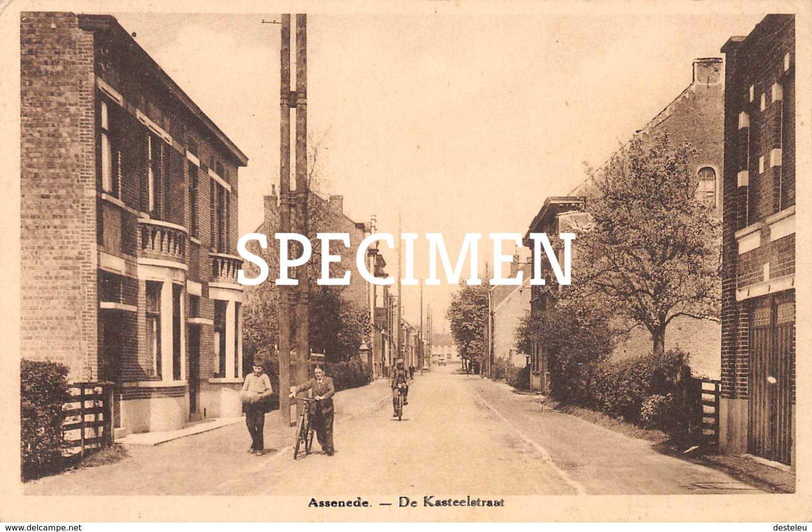 De Kasteelstraat - Assenede - Assenede