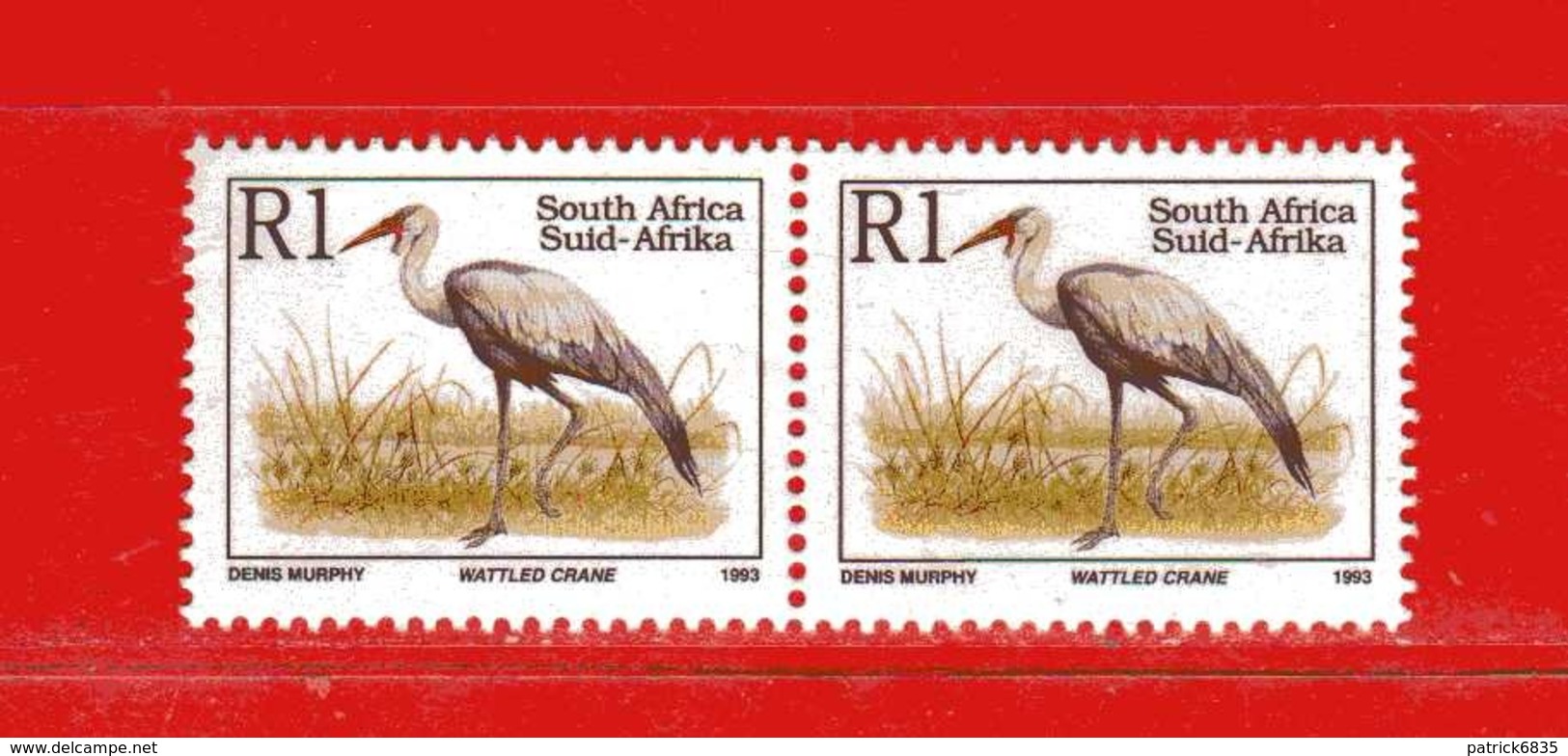 (St5 )AFRIQUE DU SUD - SOUTH AFRICA -  - 1993 - YT. 821 (  (MNH) Sans Trace De Charniere - Nuovi