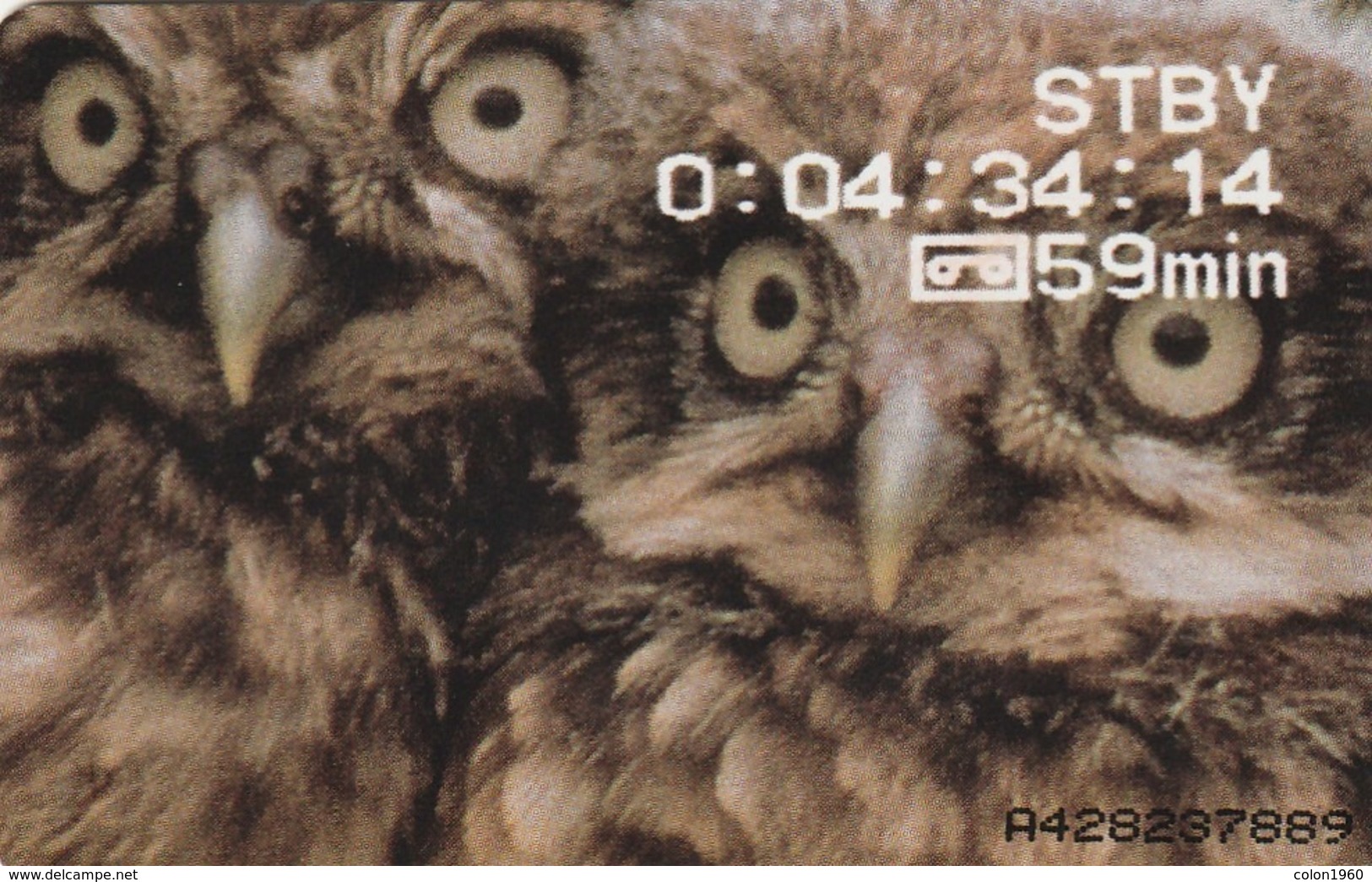 HOLANDA. BUHOS. Ver Y Descubrir - View & Discover. 1998. 25f. CG 016-02. (101) - Owls