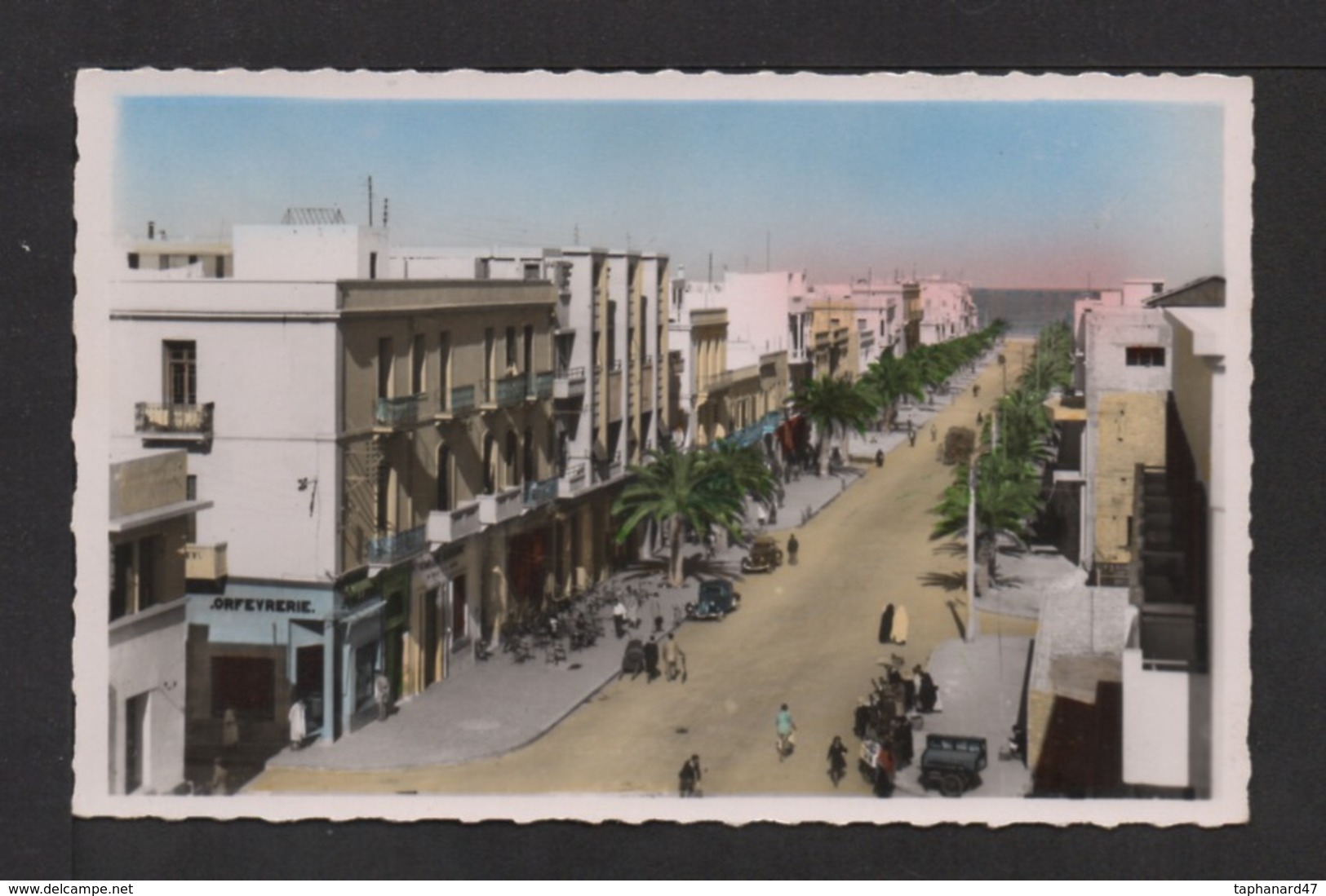 CPSM Pf . TUNISIE . SOUSSE . Avenue Du 12 Avril 1943 . - Tunisia