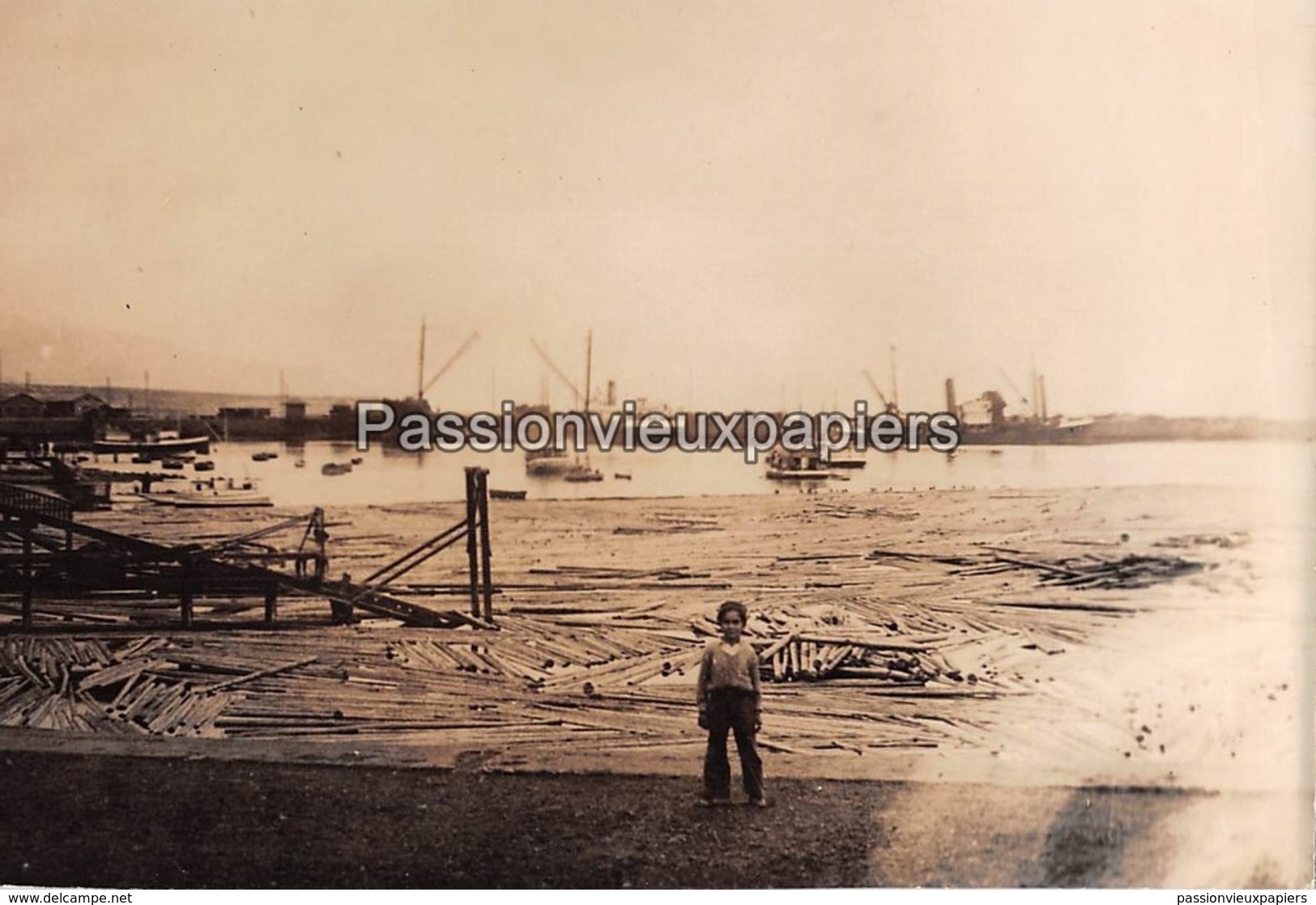 Grande PHOTO SANTA ROSALIA  (années 1930 ?)  COMPAGNIE Du BOLEO  LE PORT - 2 - México