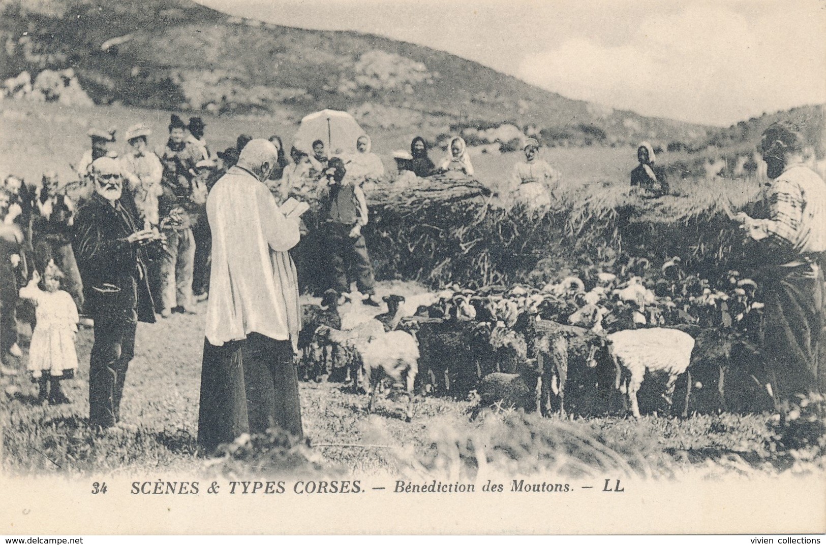 Scènes Et Types Corses (20 - Corse) Bénédiction Des Moutons - édit LL N° 34 (carte Comme Neuve) - Andere & Zonder Classificatie