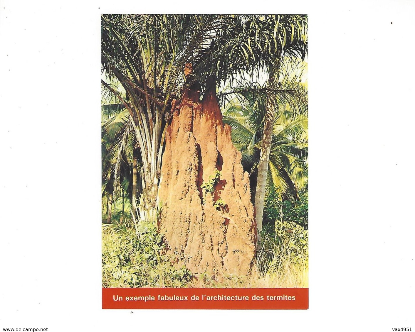 BENIN   UN EXEMPLE FABULEUX  DE L ARCHITECTURE DES TERMITES  **** RZRE   A SAISIR **** - Benin