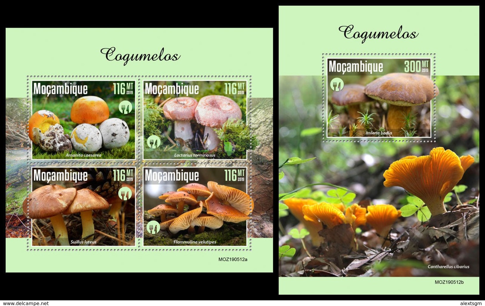 MOZAMBIQUE 2019 - Mushrooms. M/S + S/S. Official Issue [MOZ190512] - Mozambico