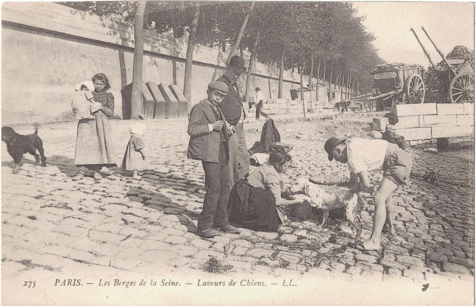 LAVEURS  DE  CHIENS - La Seine Et Ses Bords