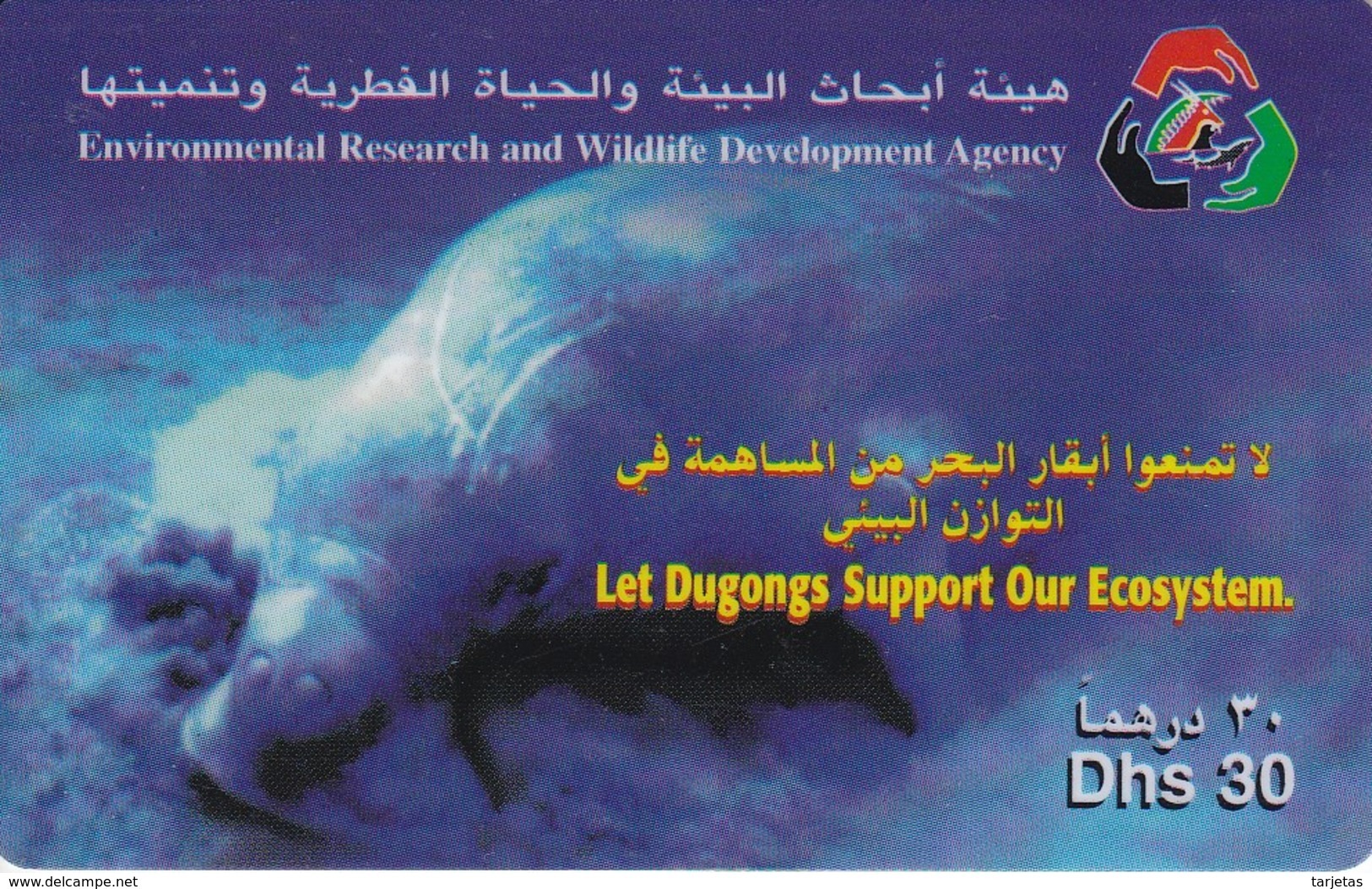 TARJETA DE EMIRATOS ARABES DE UN DUGONG - Emiratos Arábes Unidos