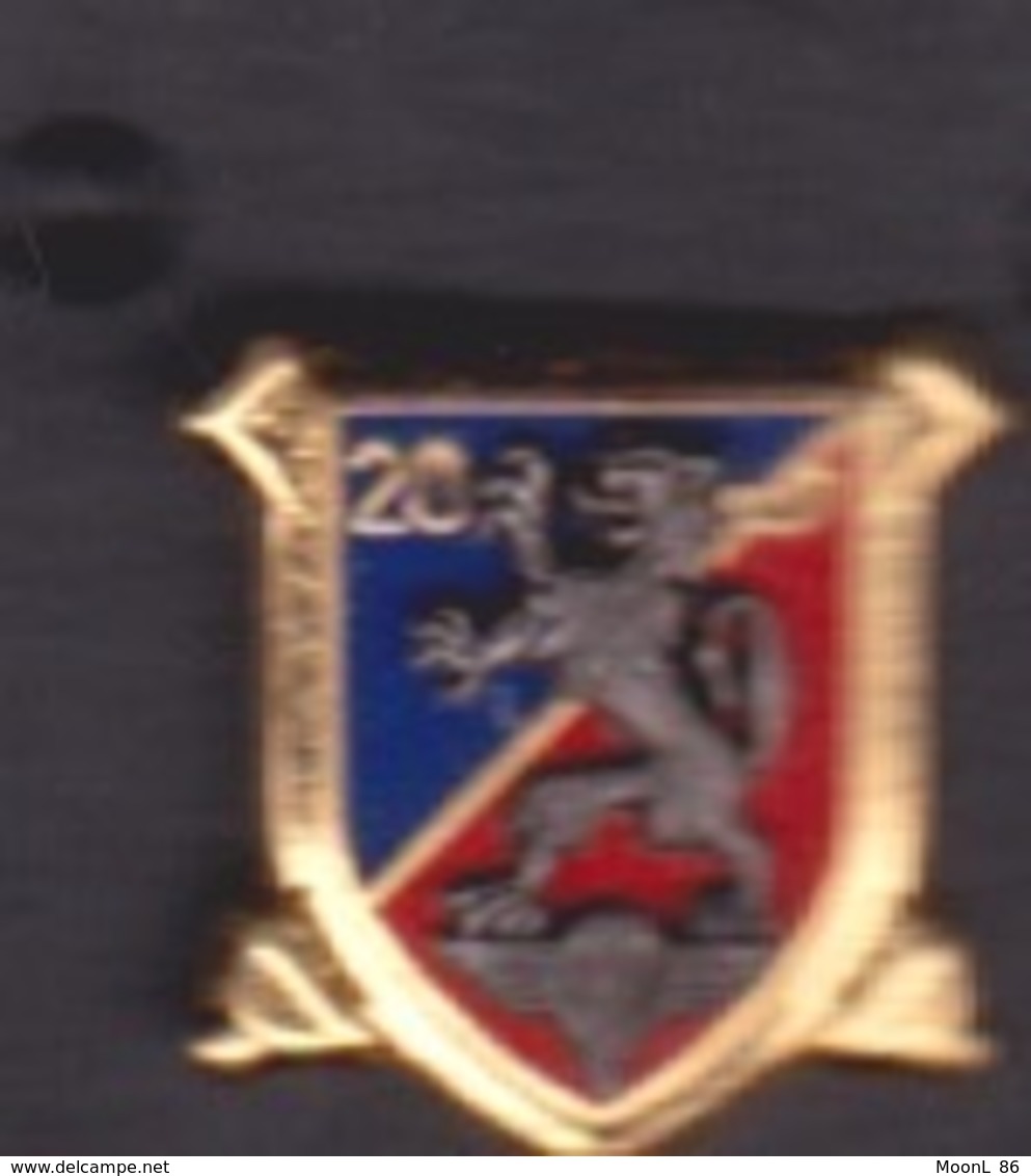 1 PIN'S - 20 EME  REGIMENT ARTILLERIE POITIERS - Militaria