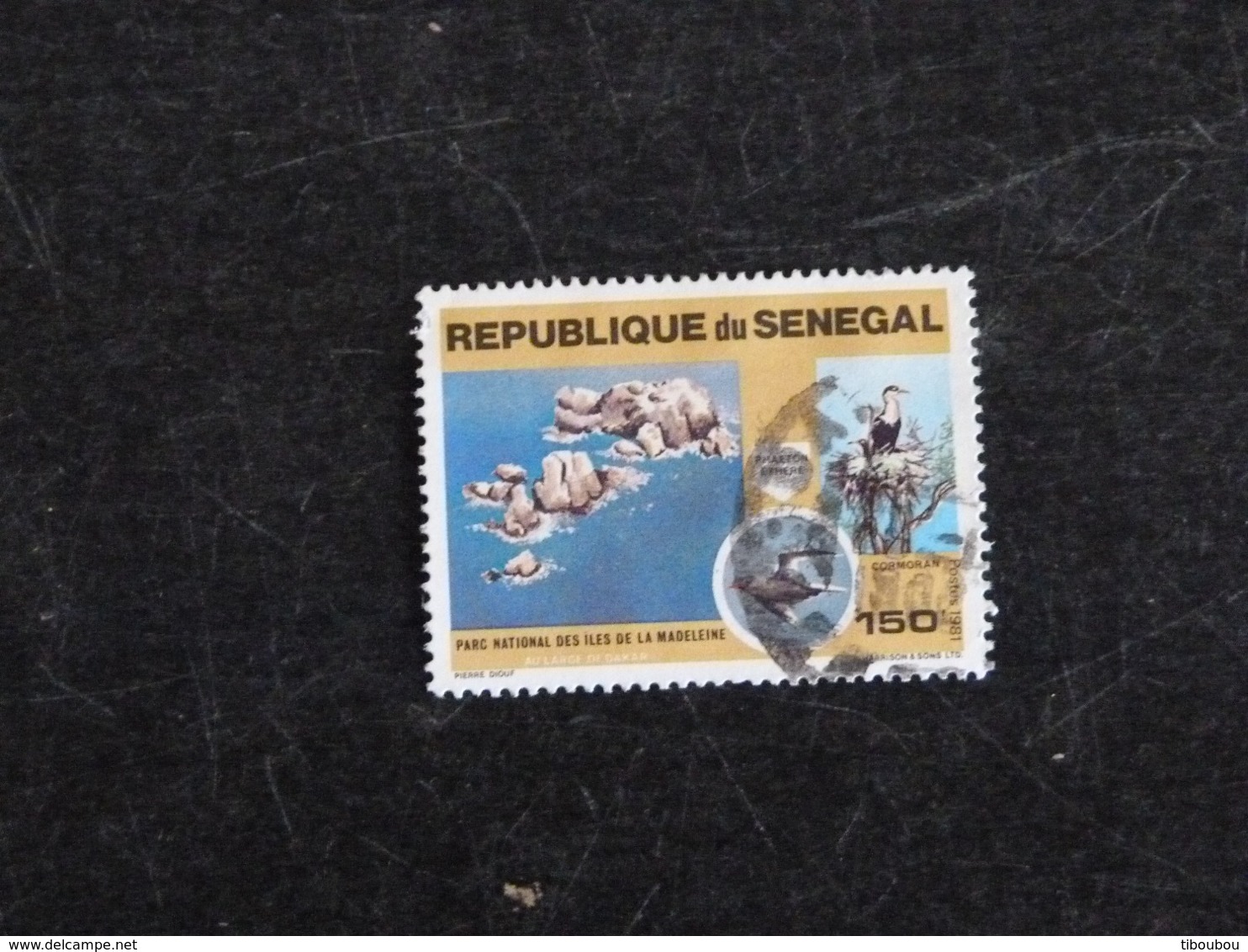 SENEGAL YT 550 OBLITERE - PARC NATIONAL ILES DE LA MADELEINE CORMORAN PHAETON ETHERE OISEAU BIRD - Sénégal (1960-...)