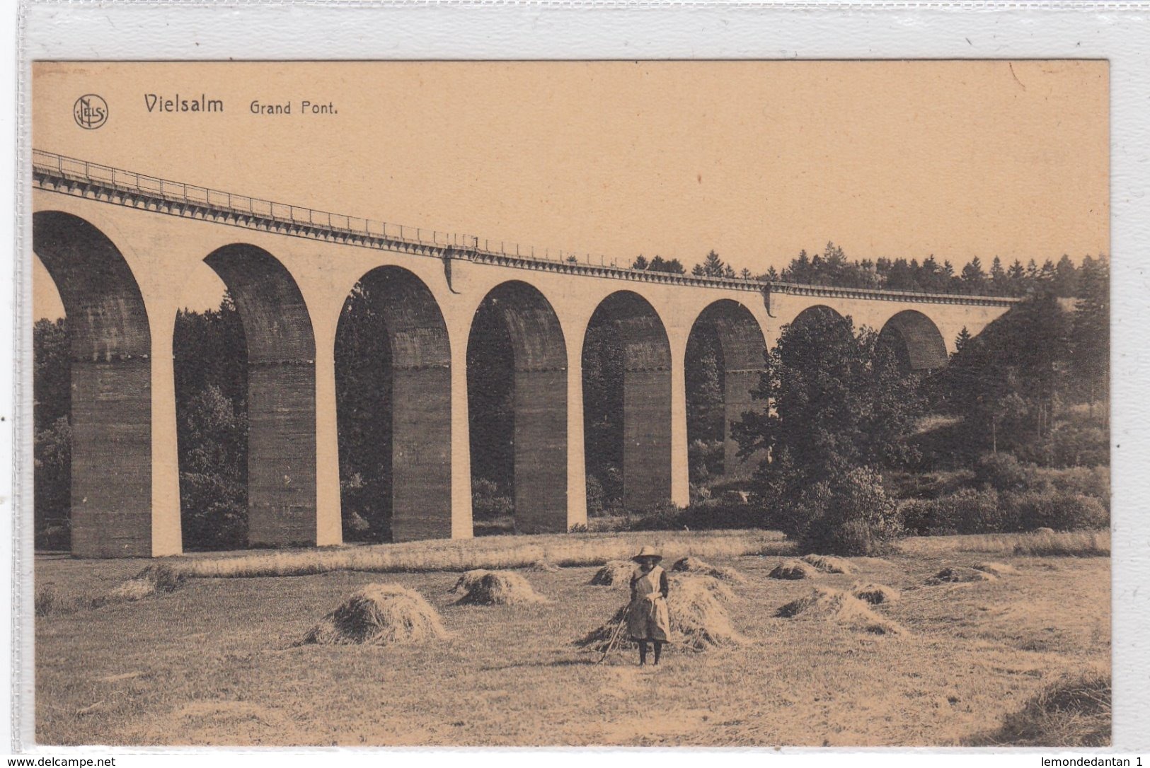 Vielsalm. Grand Pont. - Vielsalm