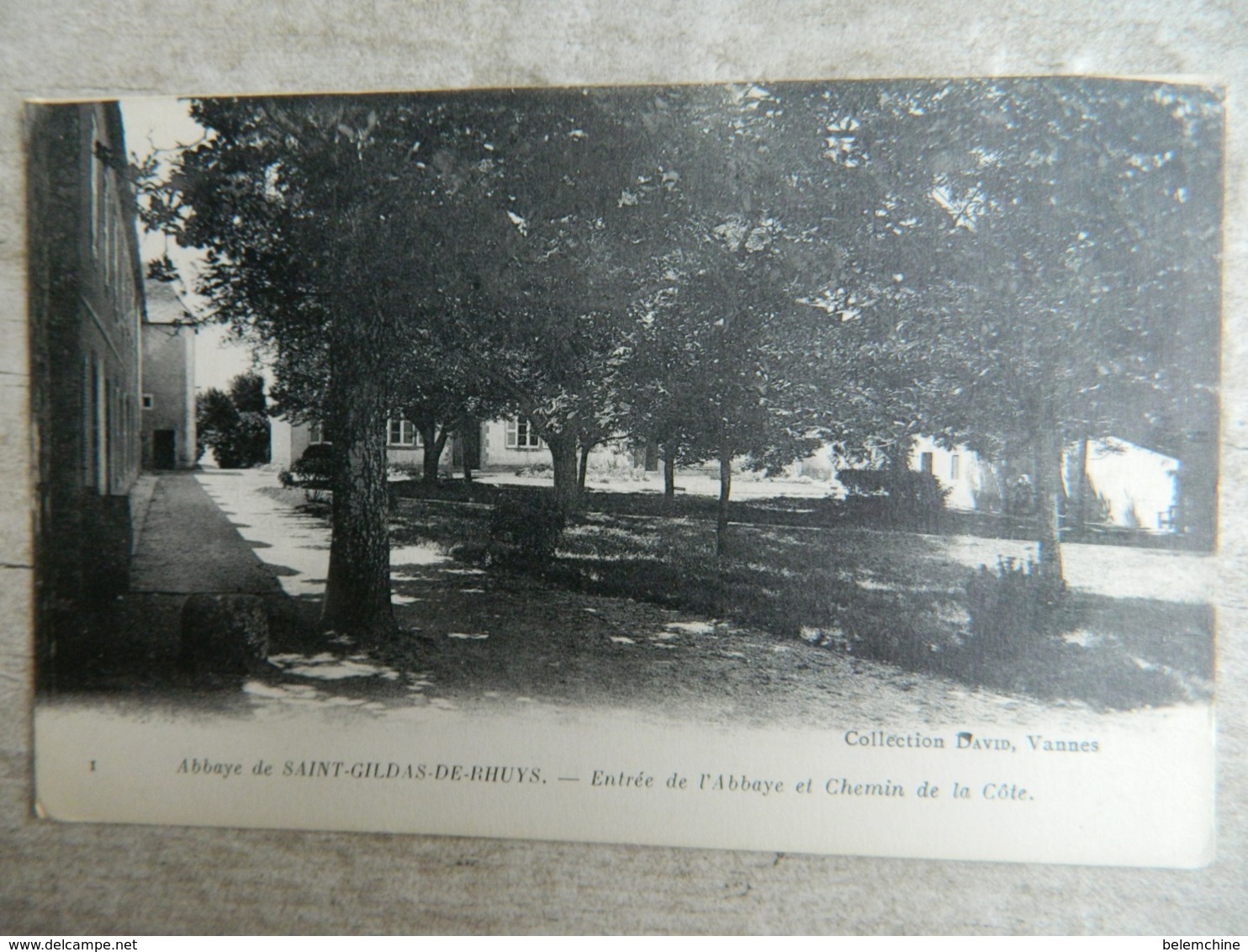 SAINT GILDAS DE RHUYS       ENTREE DE L' ABBAYE ET CHEMIN DE LA COTE - Altri & Non Classificati