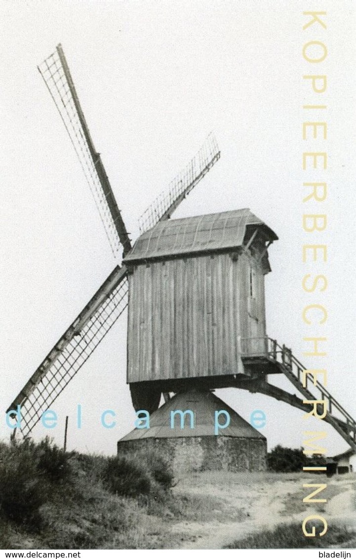 LUMMEN (Limburg) - Molen/moulin - Zeldzame Opname Van De Gewezen Dorpsmolen, Twee Jaar Voor De Brand In 1939 - Lummen