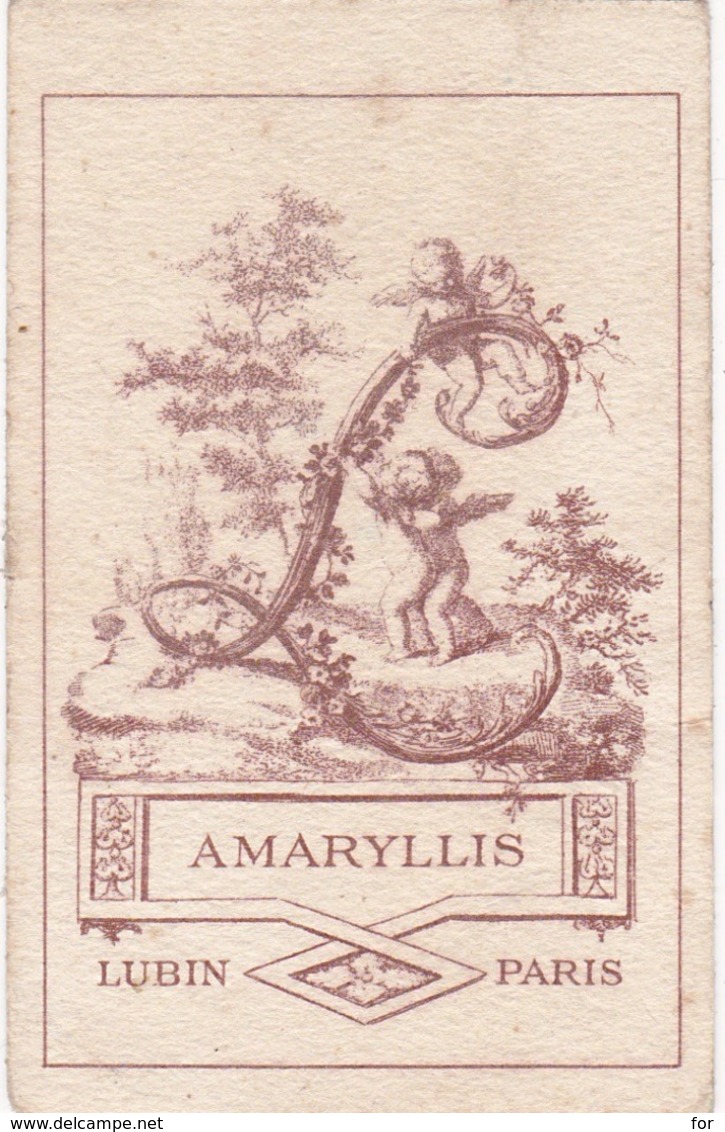 Carte Parfumée Publicitaire : AMARYLLIS : - Lubin - Paris - ( Offert Par La Parfumerie ROBERT - Lyon ) 9cm X 5,5cm - Vintage (until 1960)