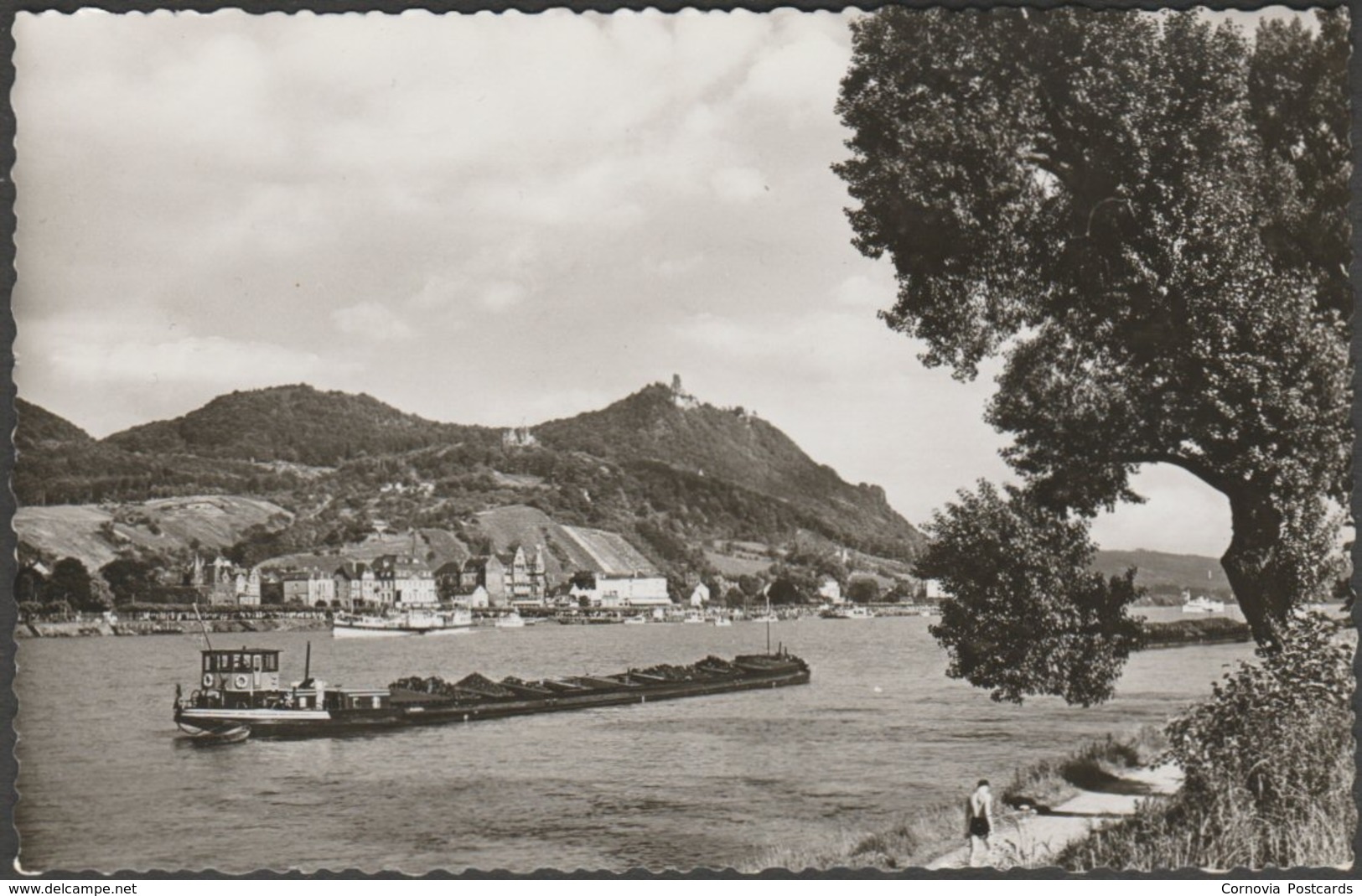 Blick über Den Rhein Auf Königswinter Und Den Drachenfels, C.1960 - Hans Andres Foto-AK - Koenigswinter