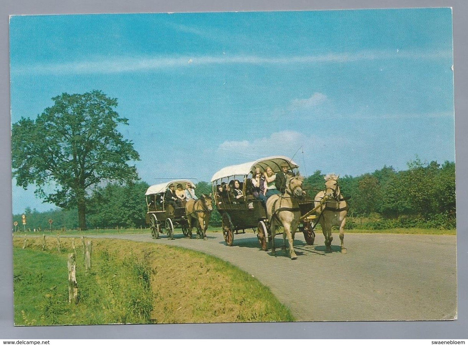 NL.- OOTMARSUM. Mooi Twente. Huifkar. - Ootmarsum