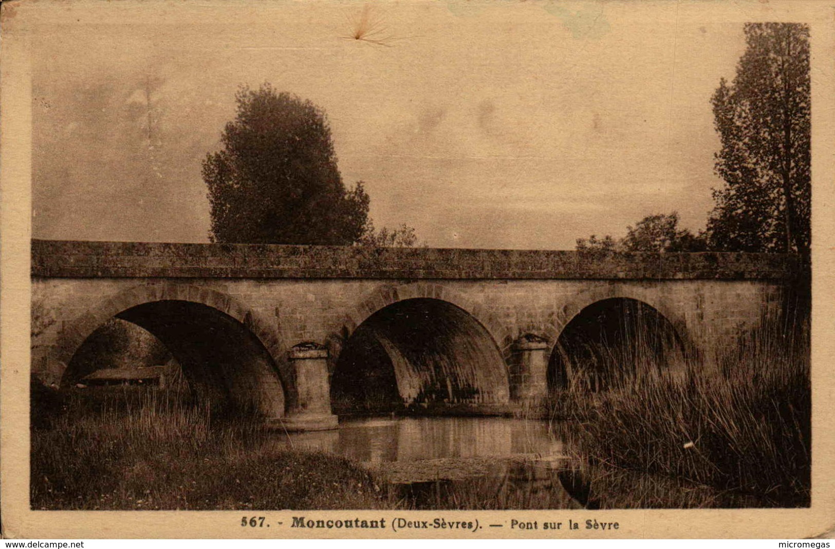 79 - MONCOUTANT - Pont Sur La Sèvre - Moncoutant