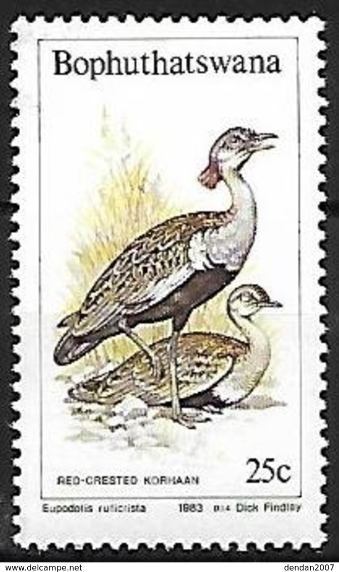 Bophuthatswana - MNH - 1983 -   Red-crested Korhaan  -  Lophotis Ruficrista - Kranichvögel