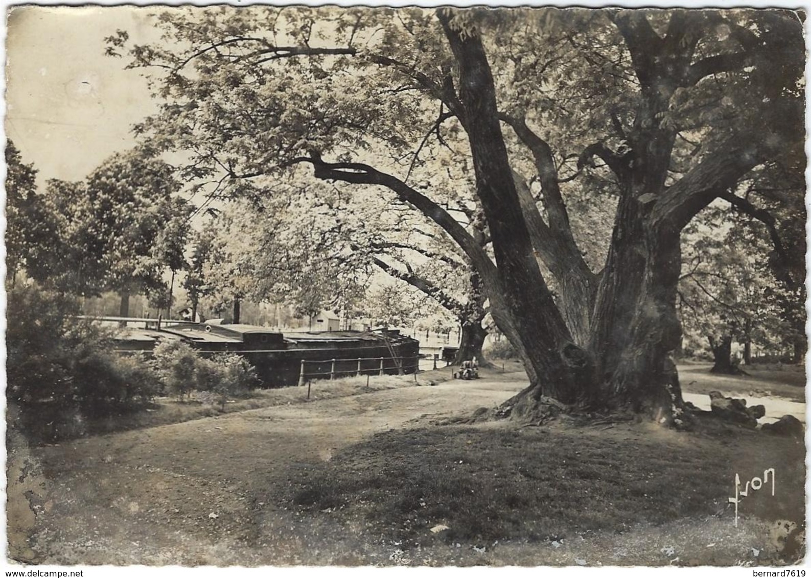 59 Lille  Square   Ramponneau Au Bois De Bouilogne - Lille