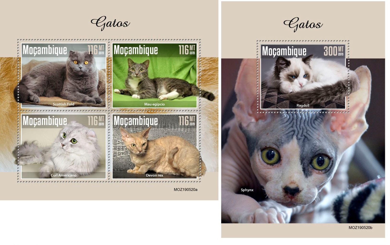 Mozambique 2019 Cats MS+S/S MOZ190520 - Autres & Non Classés