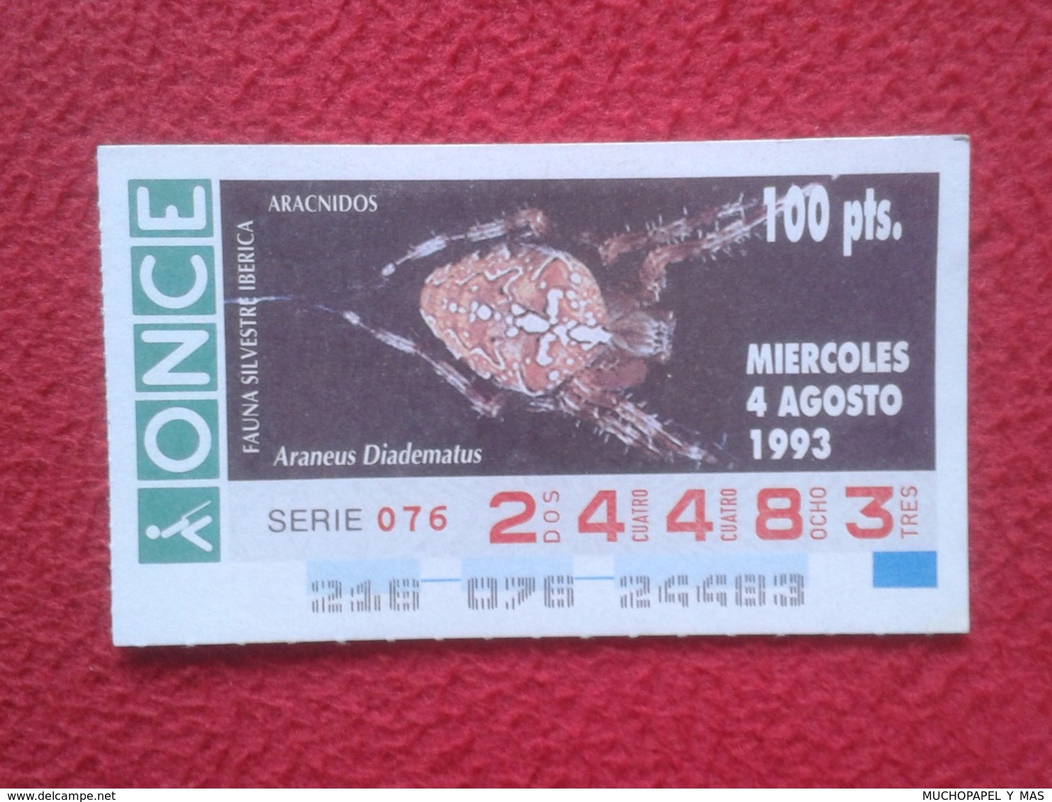 CUPÓN DE ONCE 1993 LOTTERY LOTERIE SPAIN LOTERÍA FAUNA FAUNE IBÉRICA ARÁCNIDOS ARAÑA ARAÑAS SPIDER ARAIGNÉE SPINNE VER - Billetes De Lotería