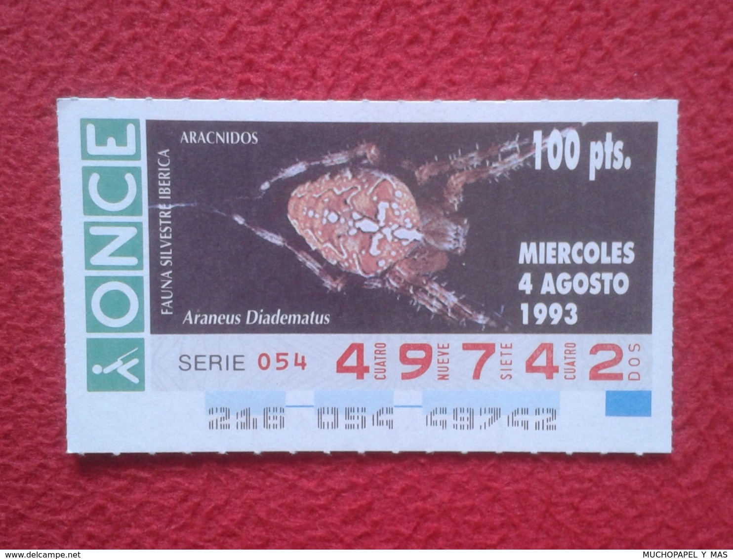 CUPÓN DE ONCE 1993 LOTTERY LOTERIE SPAIN LOTERÍA FAUNA FAUNE IBÉRICA ARÁCNIDOS ARAÑA ARAÑAS SPIDER ARAIGNÉE SPINNE VER - Billetes De Lotería