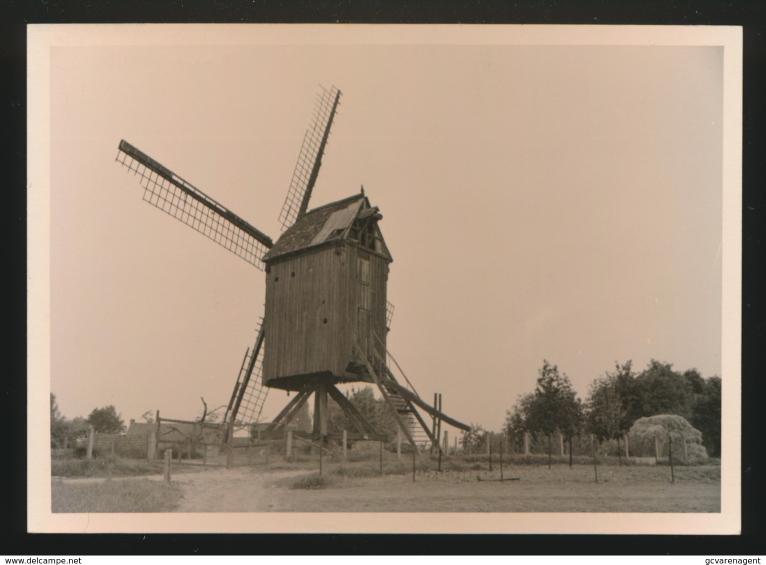 IMPE FOTO 1964  12 X 9 CM   - MOLEN - Lede