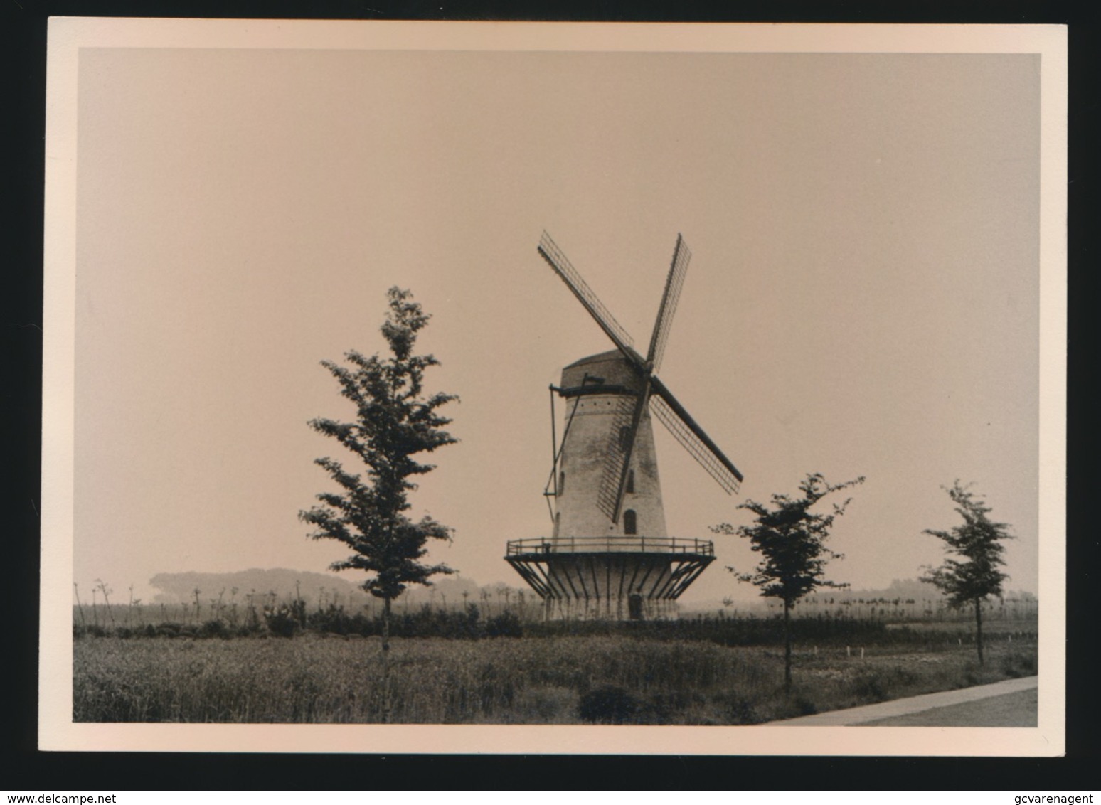 OORDEGEM     FOTO 1960 12 X 9 CM   - MOLEN - Lede