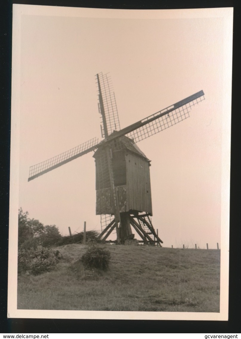 IMPE   FOTO 1964 12 X 9 CM   - MOLEN - Lede