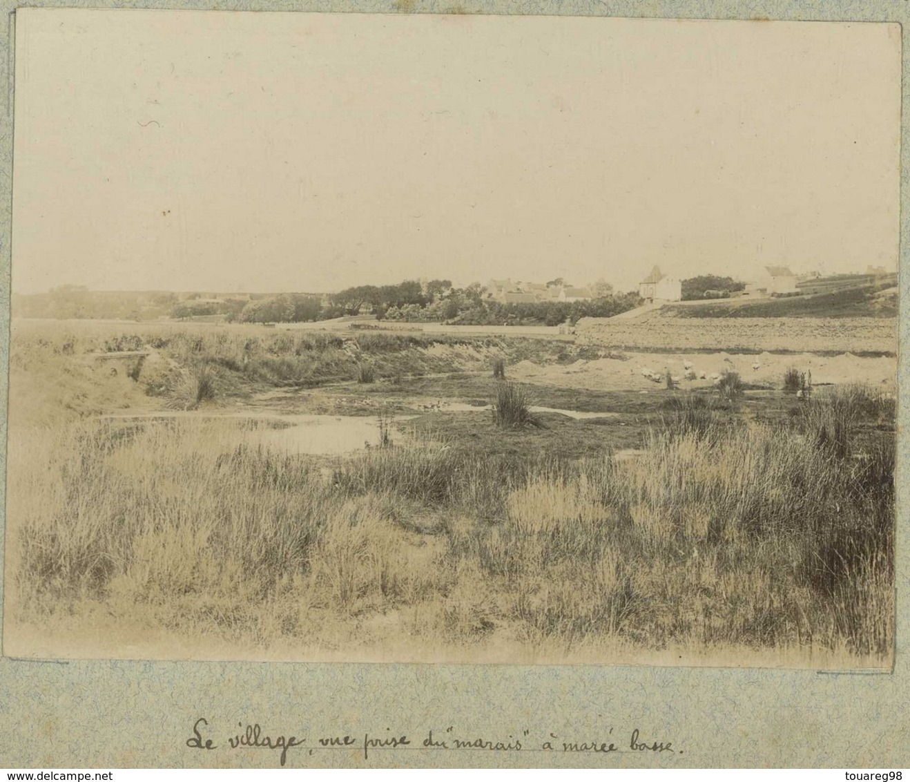 Agon-Coutainville Circa 1900. Le Village, Vue Prise Du " Marais " à Marée Basse. Manche. Normandie. - Lieux