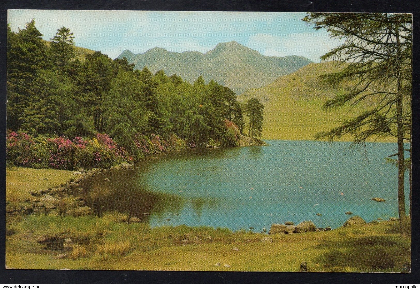 TAXE DE POSTE RESTANTE - TYPE FLEURS / 1980 GB CARTE POSTALE POUR GERARDMER - VOSGES (ref 6778j) - 1960-.... Lettres & Documents