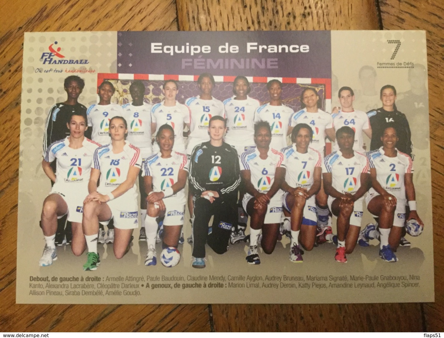 Équipe De France Féminine De Handball - Handball