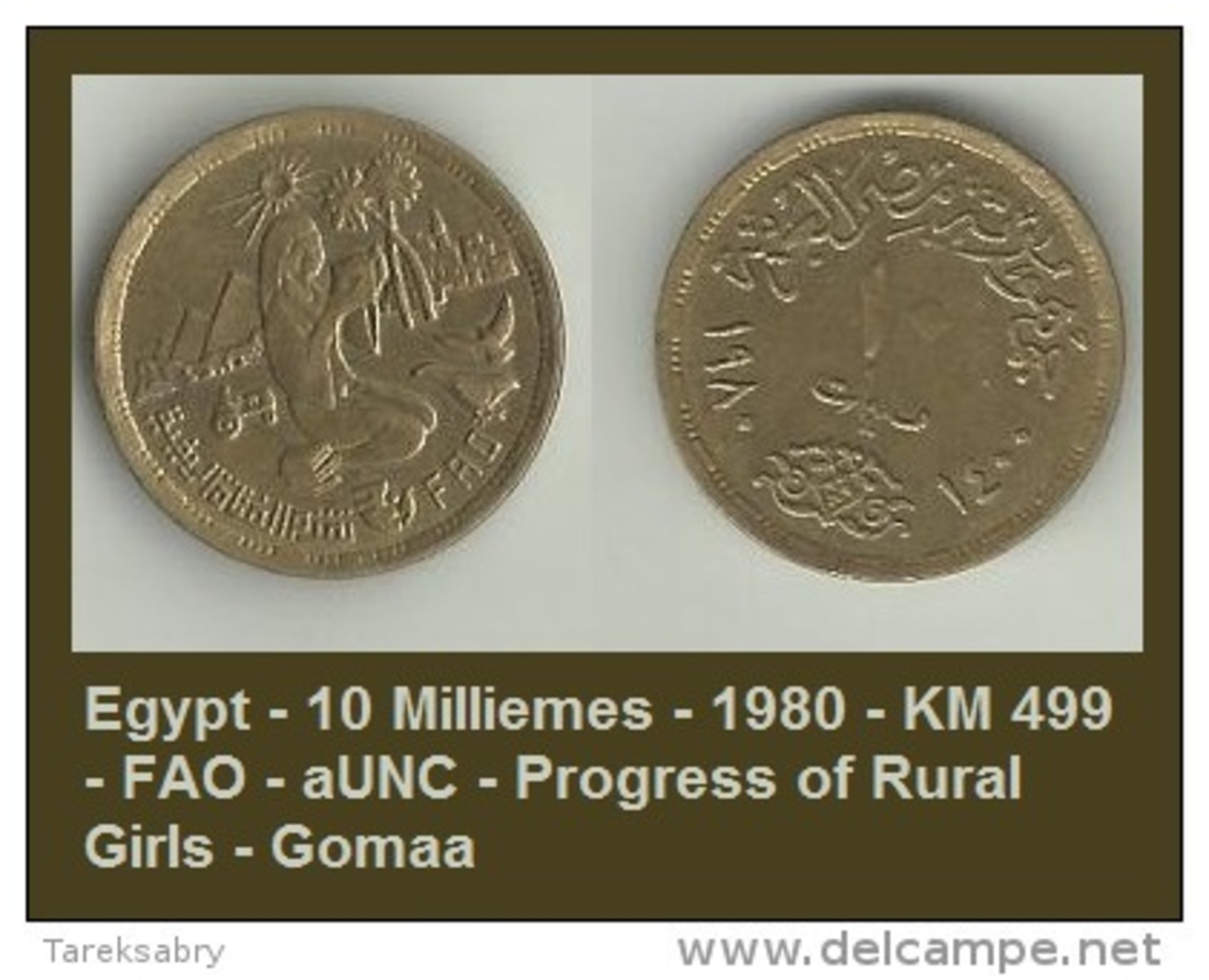 Egypt - 10 Milliemes - 1980 - KM 499 - FAO - AUNC - Progress Of Rural Girls - Gomaa - Egipto
