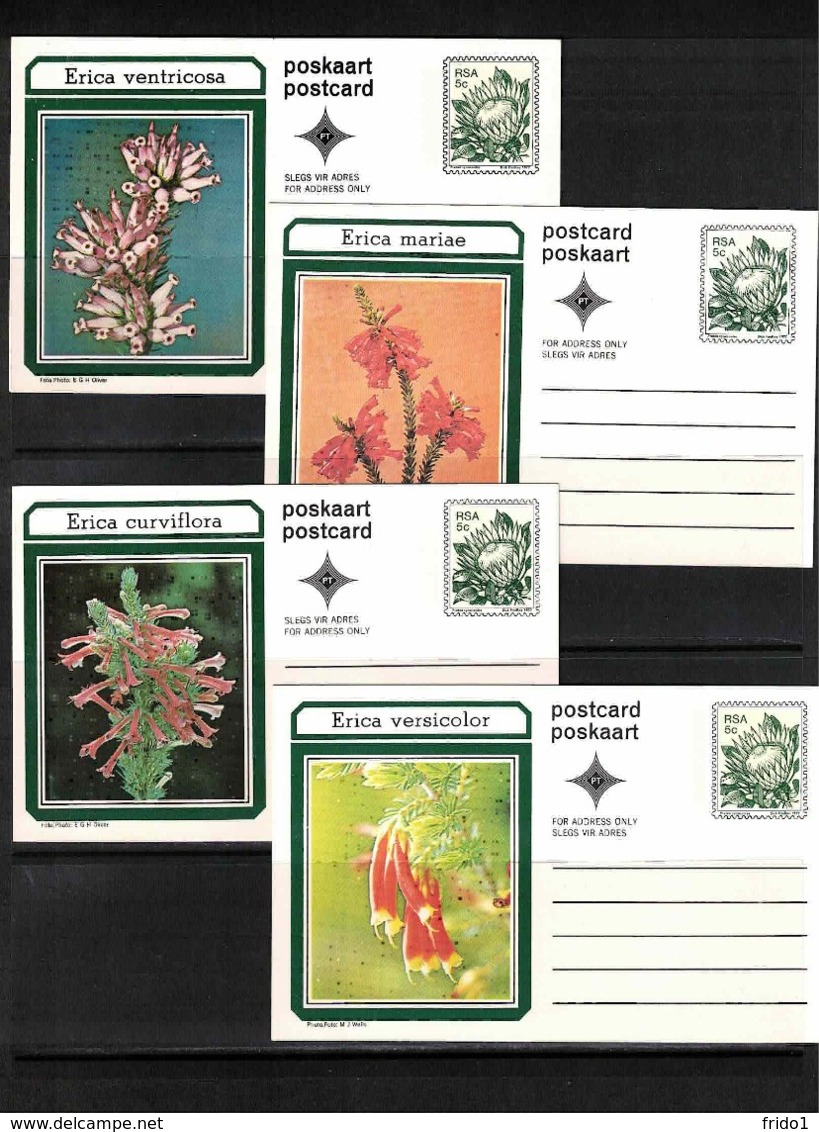 South Africa 1977 Flowers Set Of 10 Different Postal Stationery Postcards MNH - Sonstige & Ohne Zuordnung