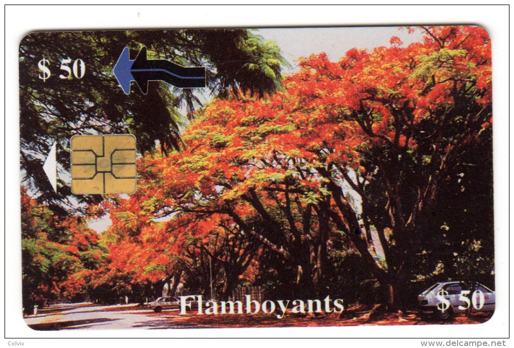 ZIMBABWE REF MV CARDS ZIM-26 50$ FLAMBOYANTS - Zimbabwe