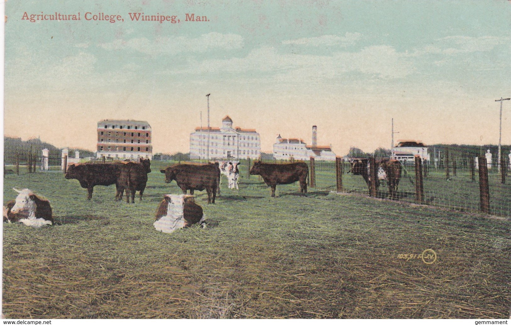 WINNIPEG -AGRICULTERAL COLLEGE - Winnipeg