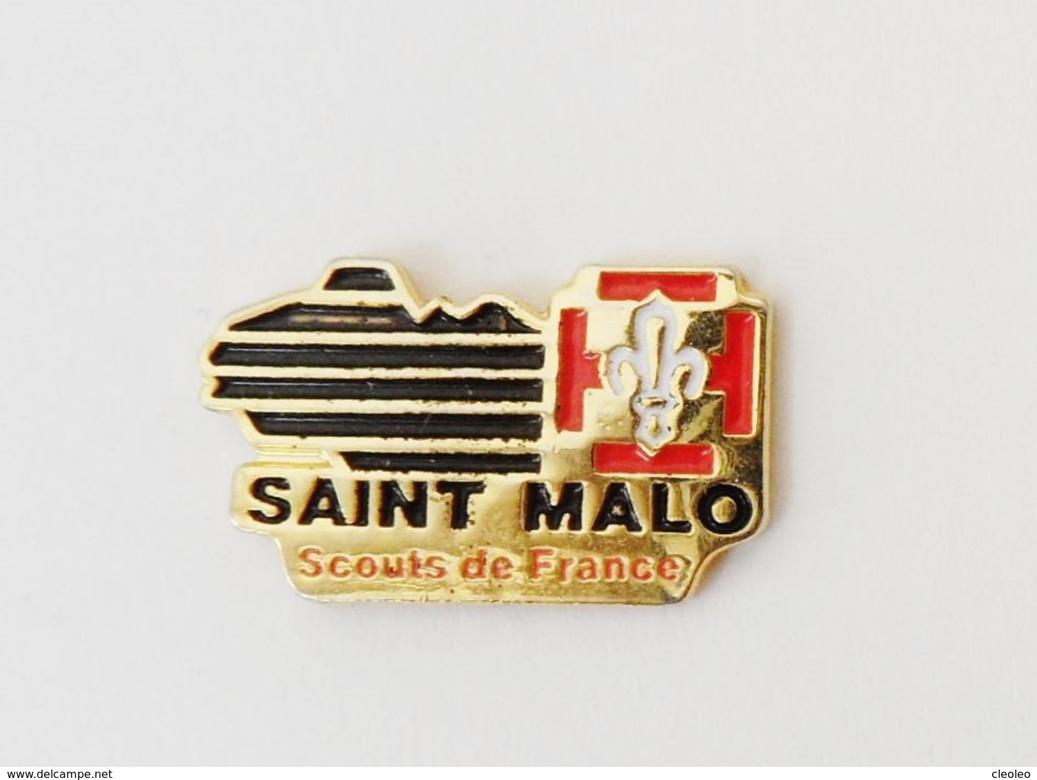 Pin's CARTE BRETAGNE Scouts De France Saint Malo - Villes