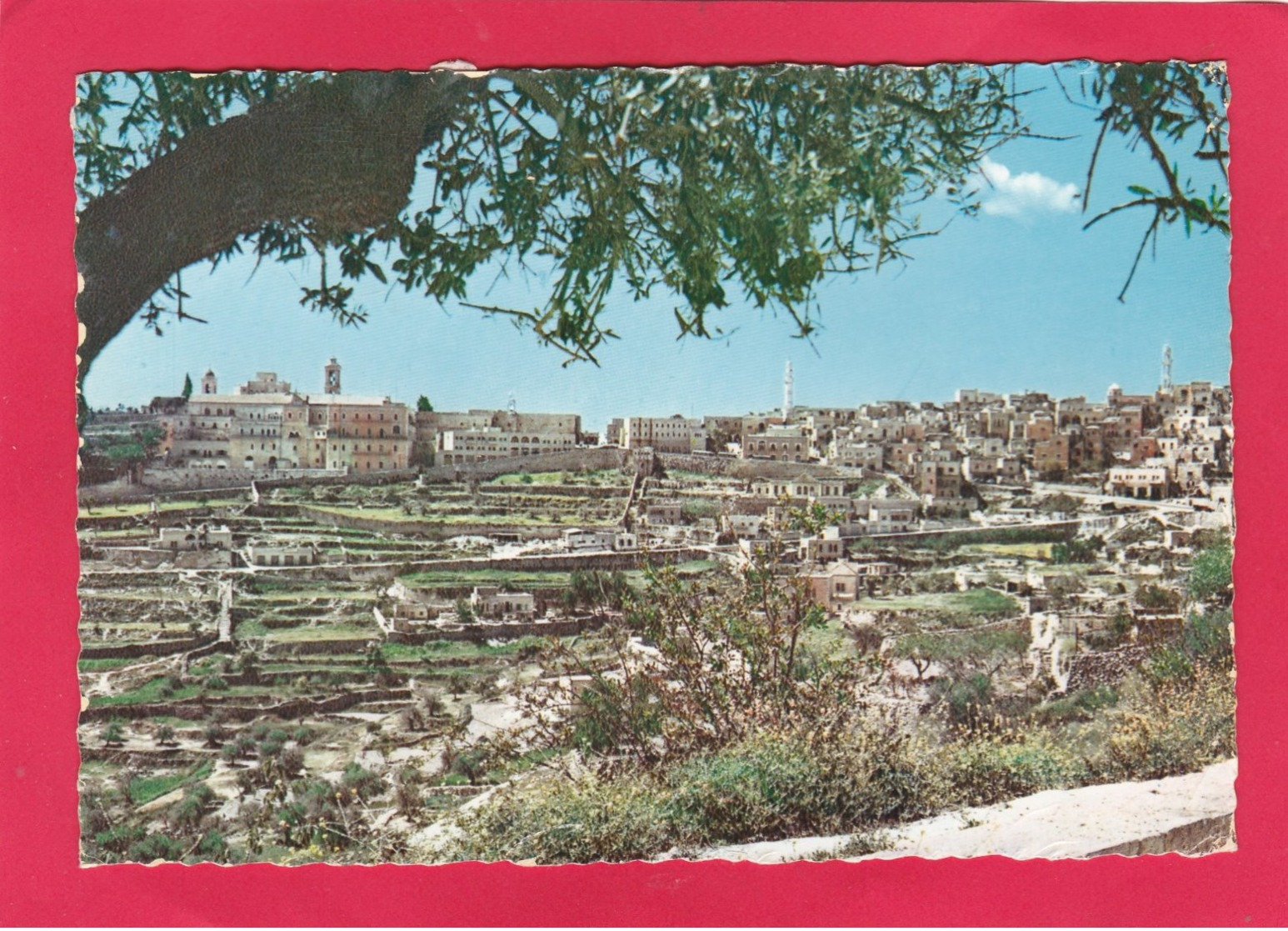 Modern Post Card Of Bethlehem,Central West Bank, Palestine,,X32. - Palestine
