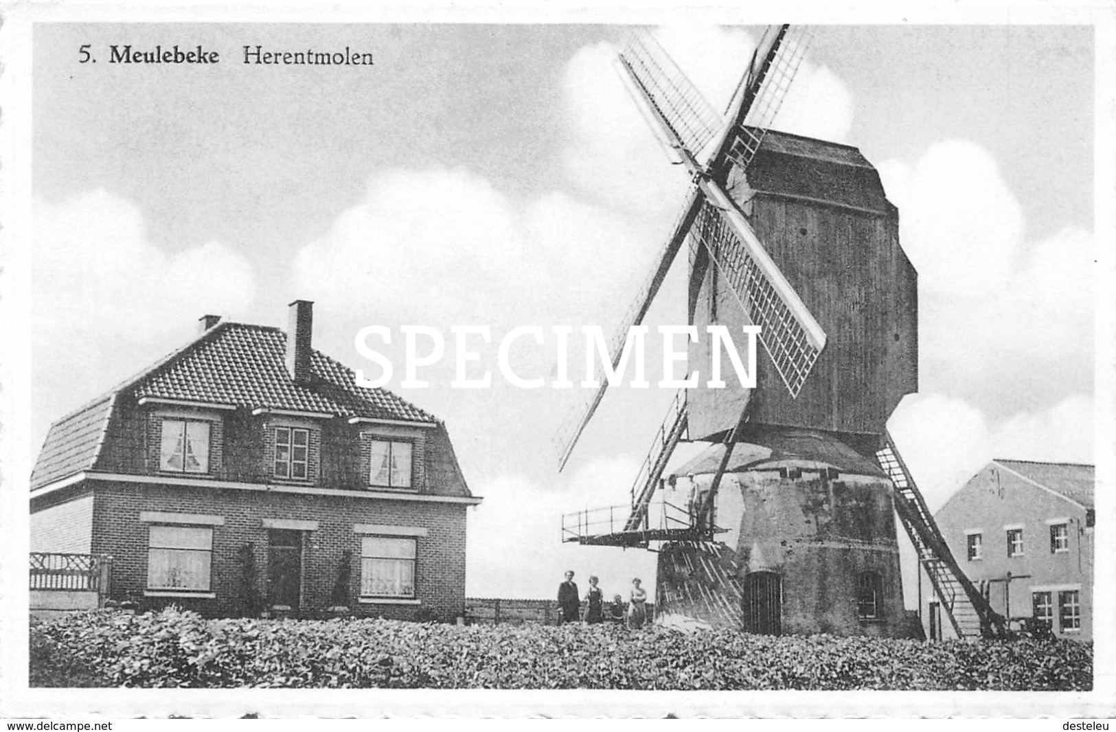 5 Herentmolen -  Meulebeke - Meulebeke