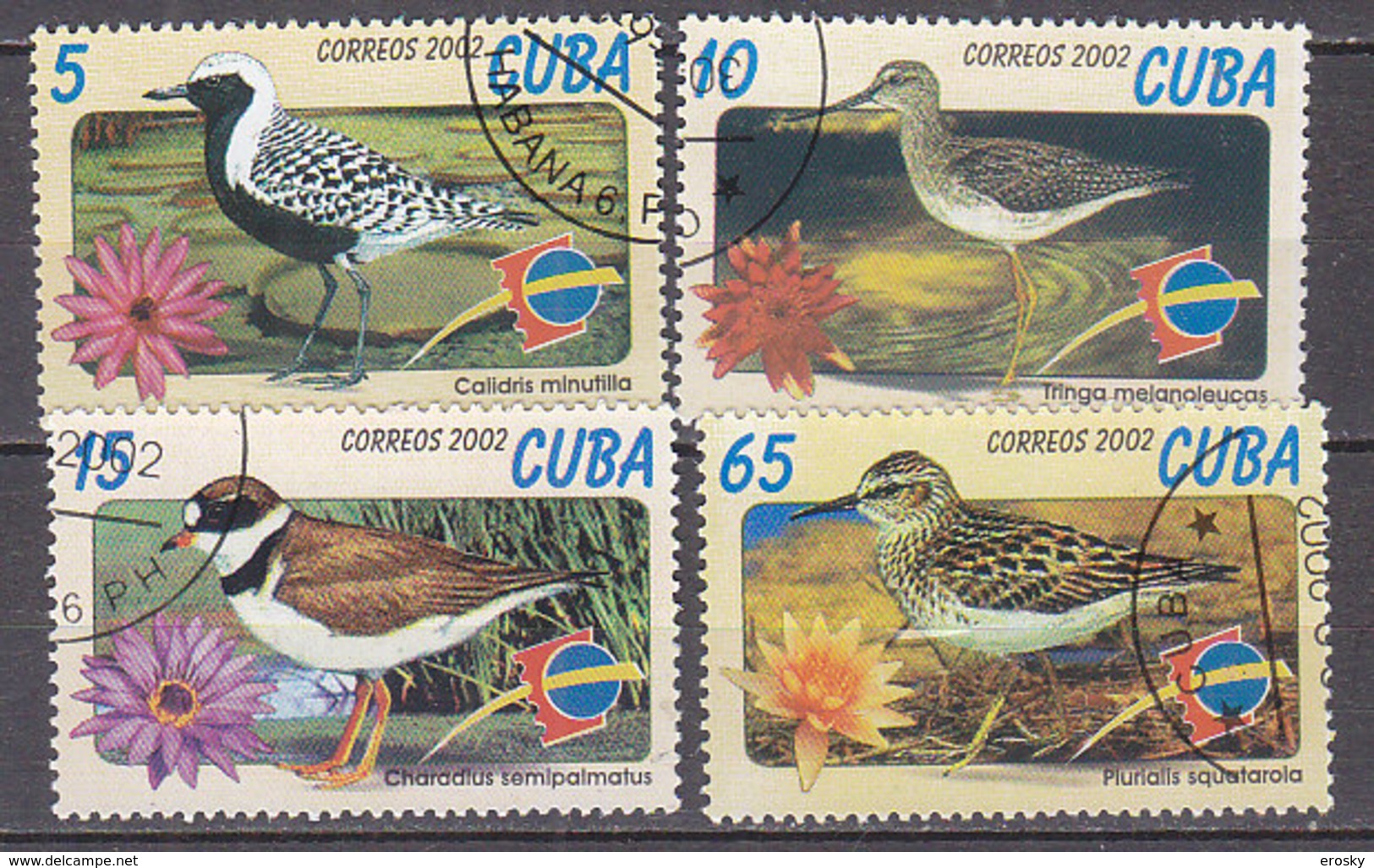 G0705- CUBA Yv N°4020/23 OISEAUX BIRDS - Used Stamps