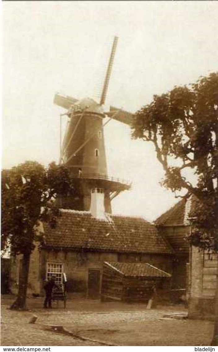 GEERTRUIDENBERG (Noord-Brabant) - Molen/moulin - De Verdwenen Stellingmolen Aan De Venestraat, Gesloopt In 1918 - Geertruidenberg