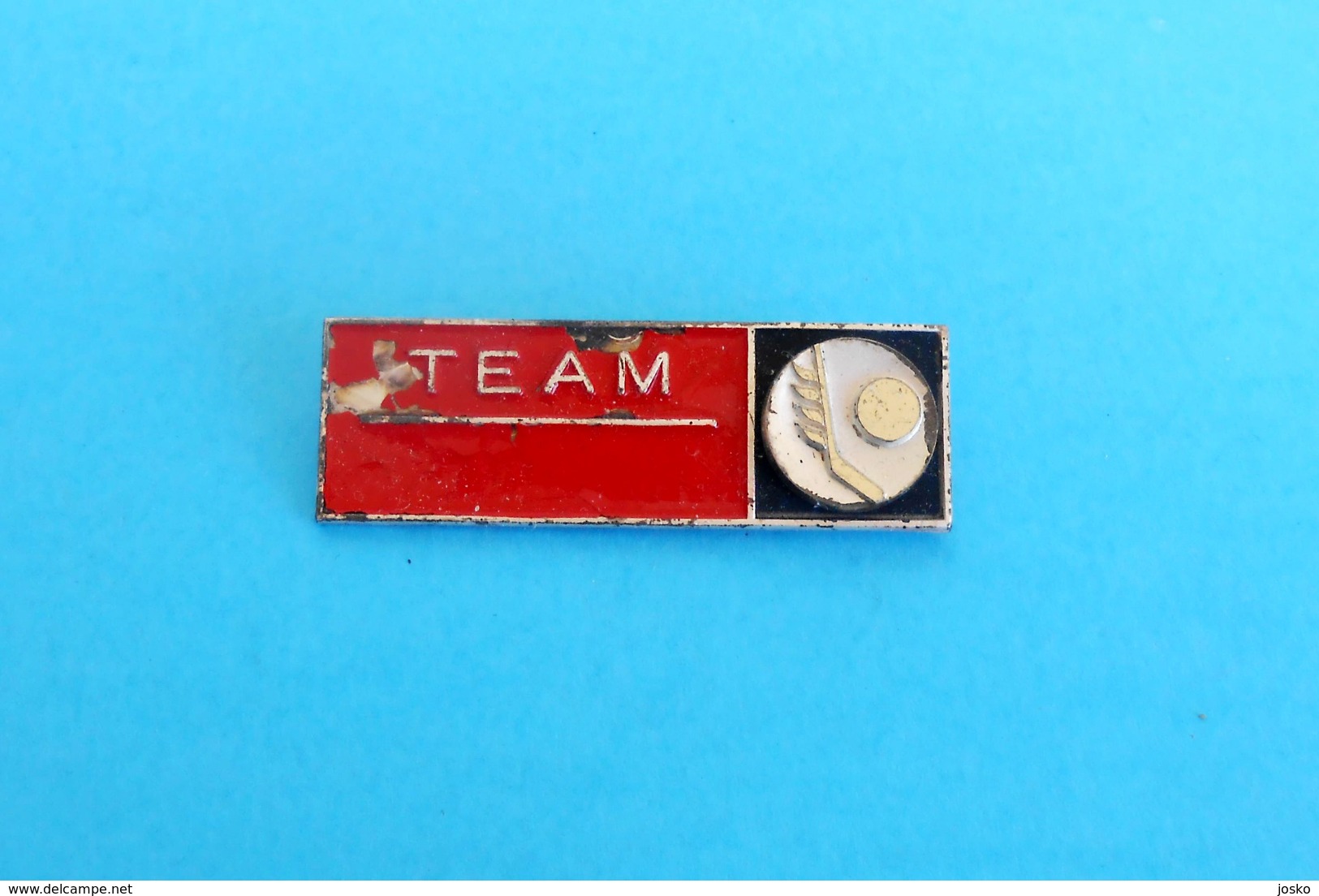 1966 MEN'S ICE HOCKEY WORLD CHAMPIONSHIPS - Large Participant Badge " TEAM " Hockey Sur Glace Eishockey On - Wintersport