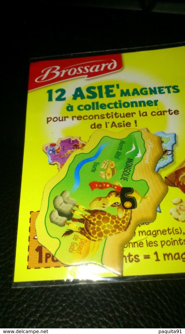 Lot De 8 Magnets Brossard Asie:Indonésie,Afghanistan,Chine*2,Inde,Mongolie,Kazakhstan,PhilipinnesIndonésie, - Toerisme