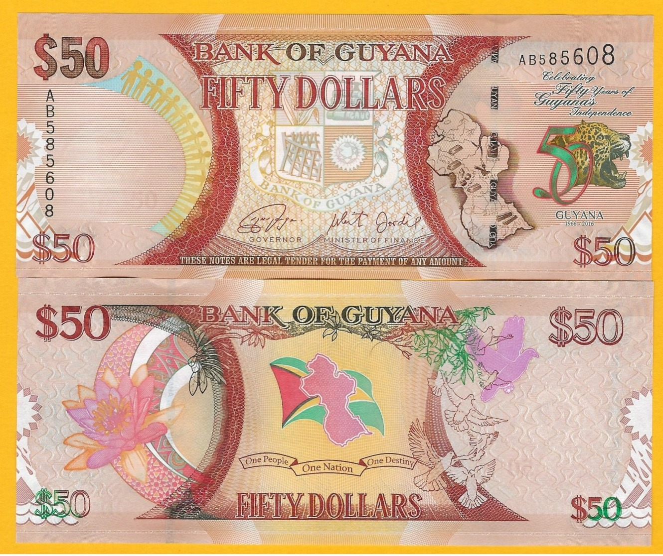 Guyana 50 Dollars P-41 2016 Commemorative UNC Banknote - Guyana