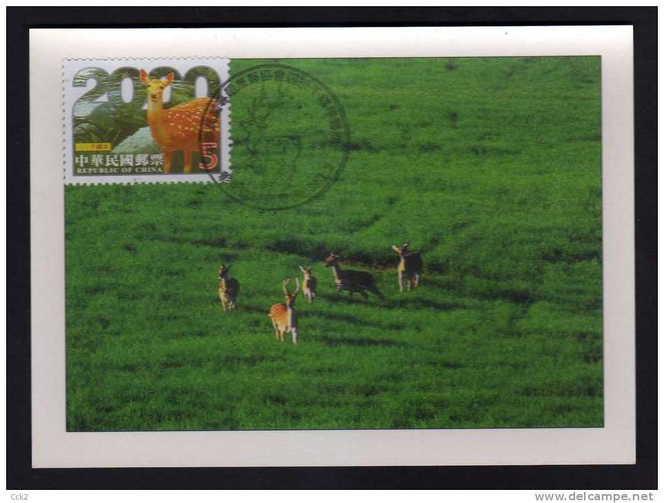 Taiwan(Formosa) Carte Maximum Card -Taiwan Sika Deer 2000 - Maximum Cards