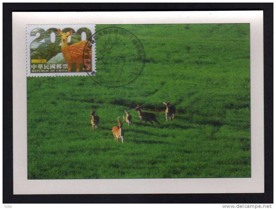 Taiwan(Formosa) Carte Maximum Card -Taiwan Sika Deer 2000 - Maximumkarten