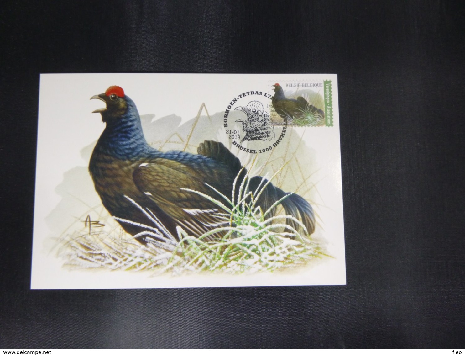 BELG.2013 4305 FDC Mcard: Buzin " Tetras Lyre - Pince Et Loupe   " - 2011-2014