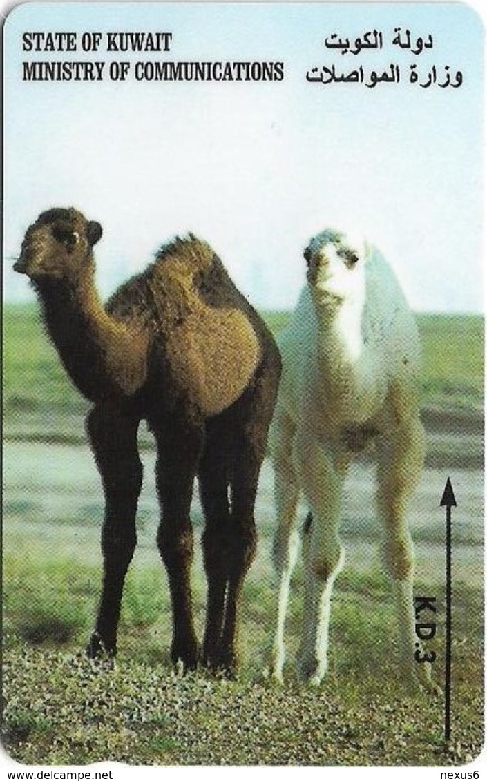 Kuwait - Young Camels - 36KWTH - 1995, Used - Kuwait